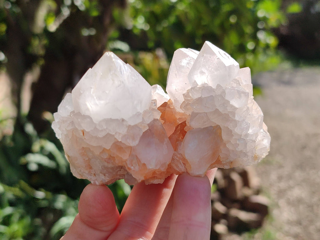 Natural Spirit Quartz Clusters x 4 From South Africa - Toprock Gemstones and Minerals 
