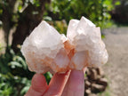 Natural Spirit Quartz Clusters x 4 From South Africa - Toprock Gemstones and Minerals 