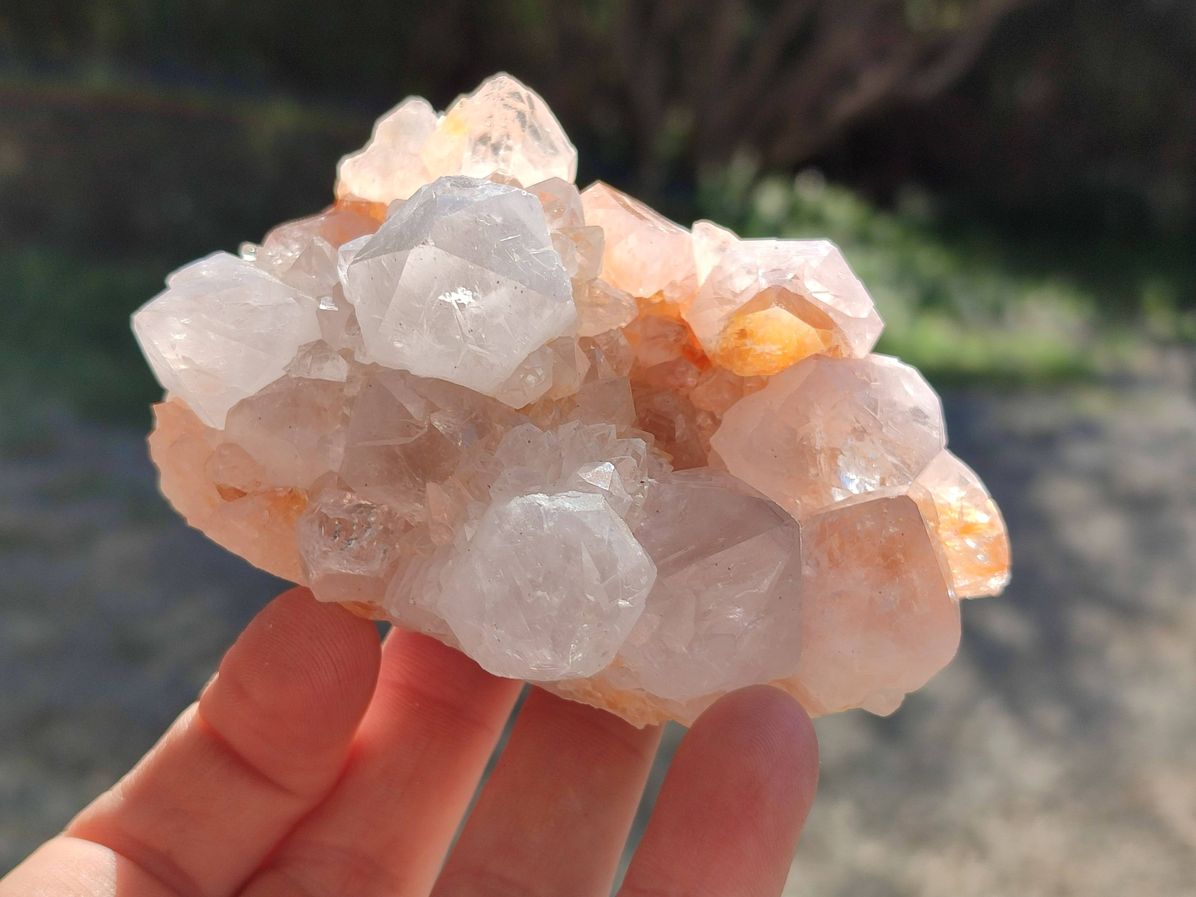 Natural Spirit Quartz Clusters x 4 From South Africa - Toprock Gemstones and Minerals 