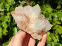 Natural Spirit Quartz Clusters x 4 From South Africa