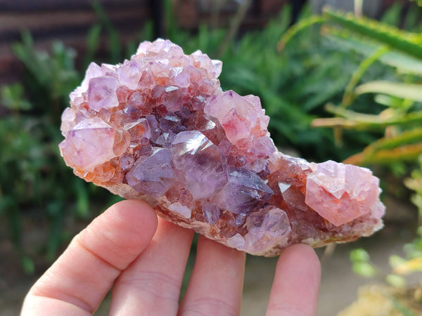 Natural Amethyst Spirit Quartz Clusters x 4 From South Africa
