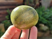 Polished Green Opal Palm Stones x 12 From Madagascar - Toprock Gemstones and Minerals 