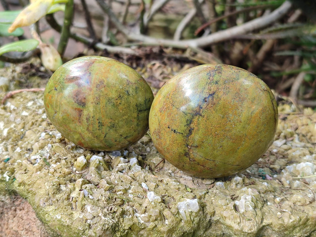 Polished Green Opal Palm Stones x 12 From Madagascar - Toprock Gemstones and Minerals 