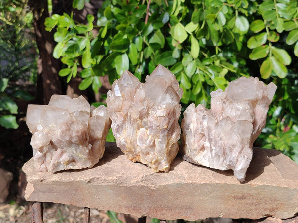 Natural Phantom Smokey Quartz Clusters x 3 From Luena, Congo