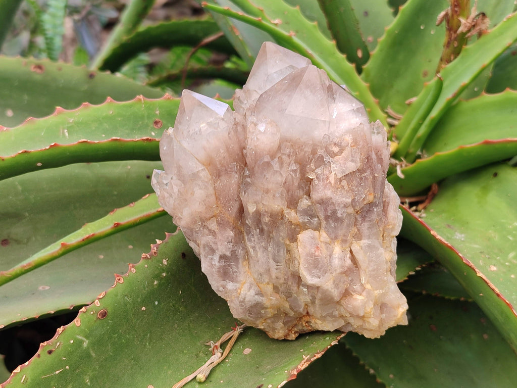 Natural Phantom Smokey Quartz Clusters x 3 From Luena, Congo - Toprock Gemstones and Minerals 