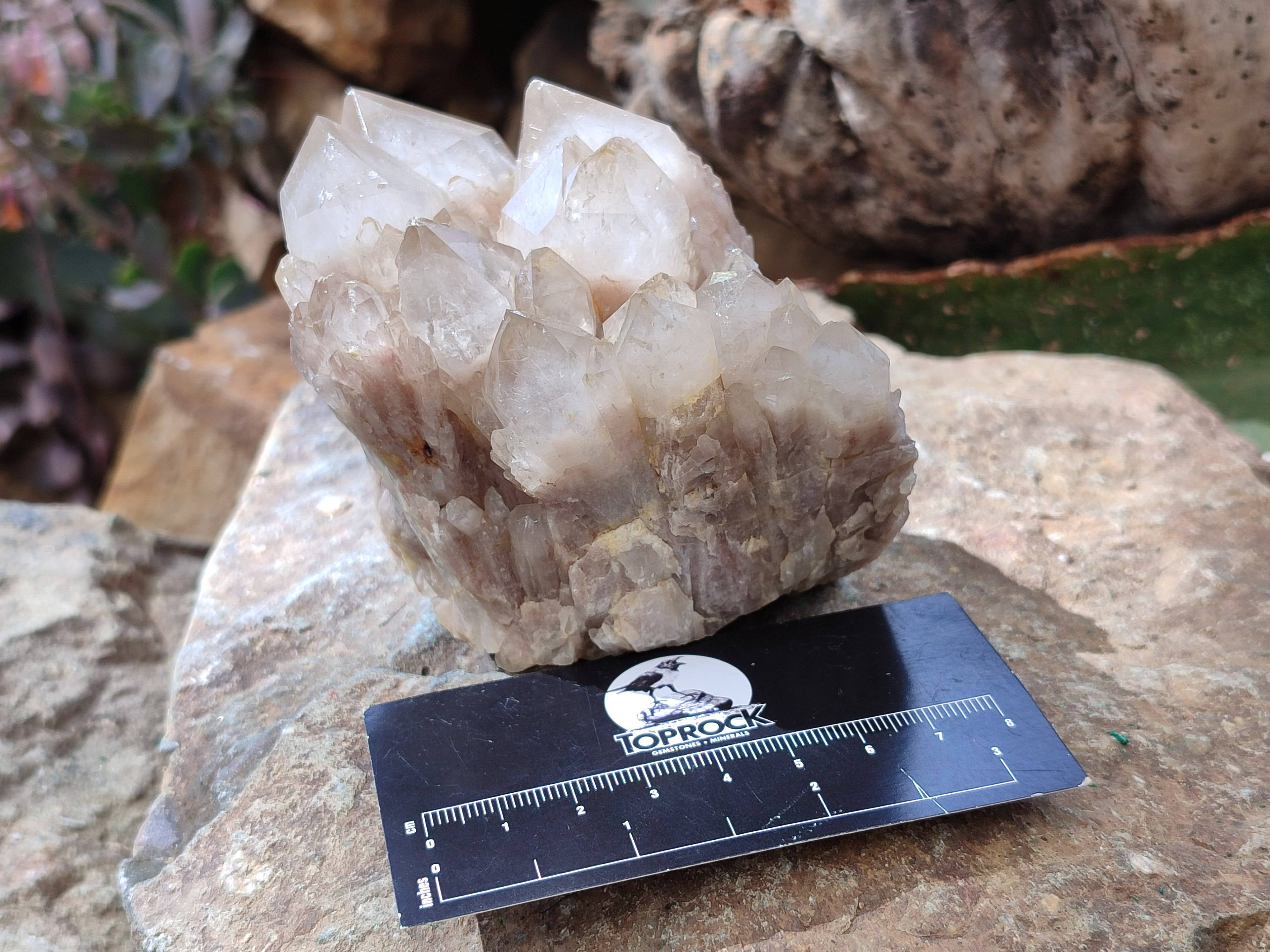 Natural Phantom Smokey Quartz Clusters x 3 From Luena, Congo - Toprock Gemstones and Minerals 