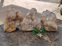 Natural Phantom Smokey Quartz Clusters x 3 From Luena, Congo