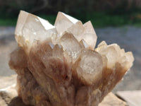 Natural Phantom Smokey Quartz Clusters x 3 From Luena, Congo