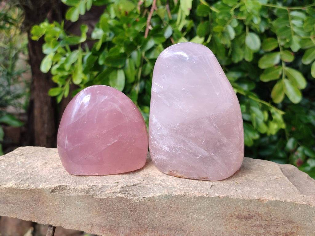 Polished Star Rose Quartz Standing Free Forms x 2 From Madagascar - Toprock Gemstones and Minerals 