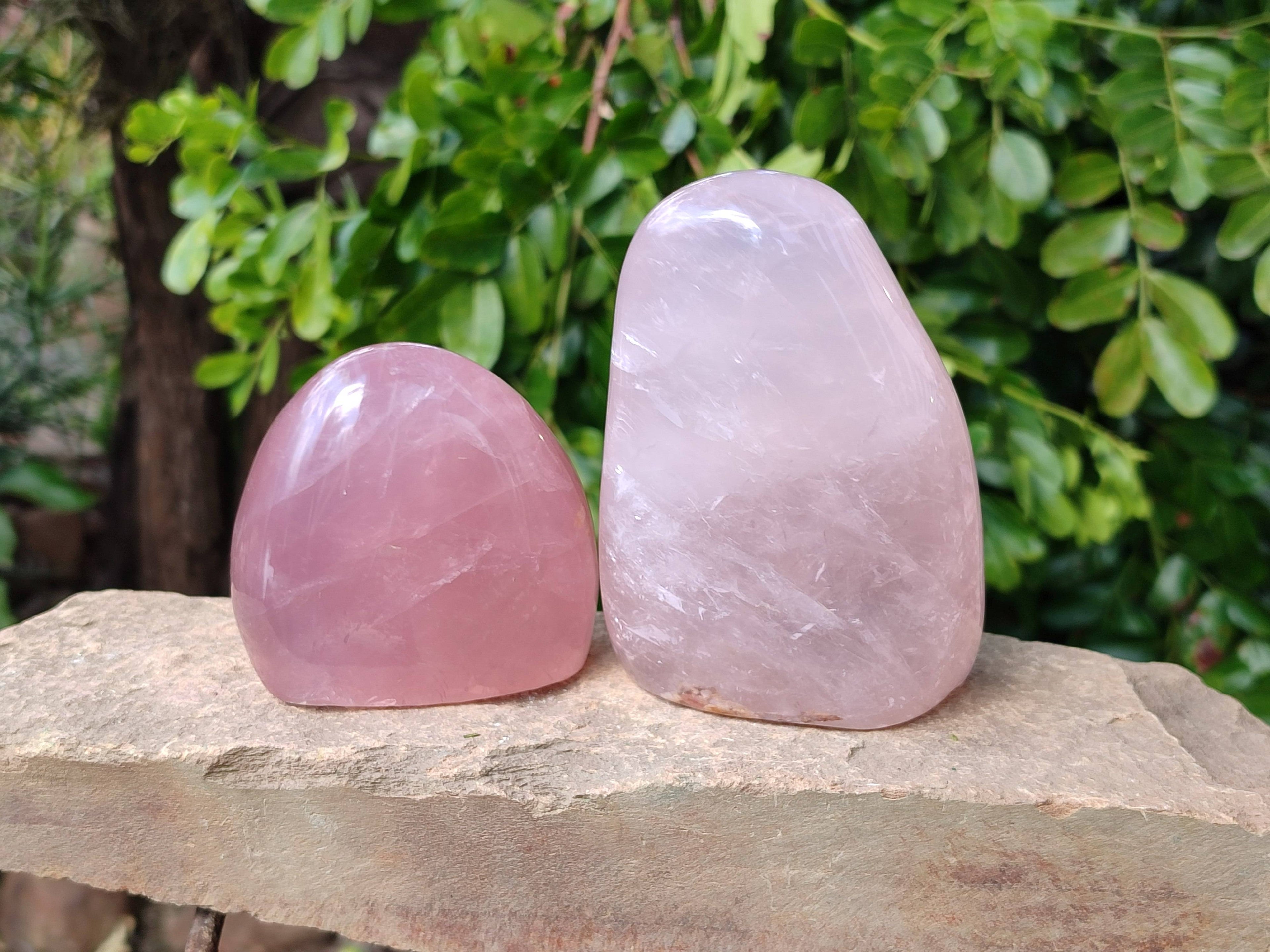 Polished Star Rose Quartz Standing Free Forms x 2 From Madagascar - Toprock Gemstones and Minerals 