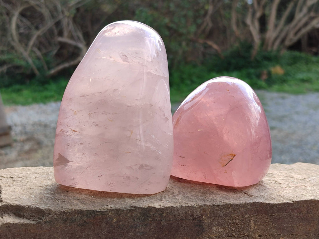 Polished Star Rose Quartz Standing Free Forms x 2 From Madagascar - Toprock Gemstones and Minerals 