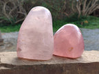 Polished Star Rose Quartz Standing Free Forms x 2 From Madagascar - Toprock Gemstones and Minerals 