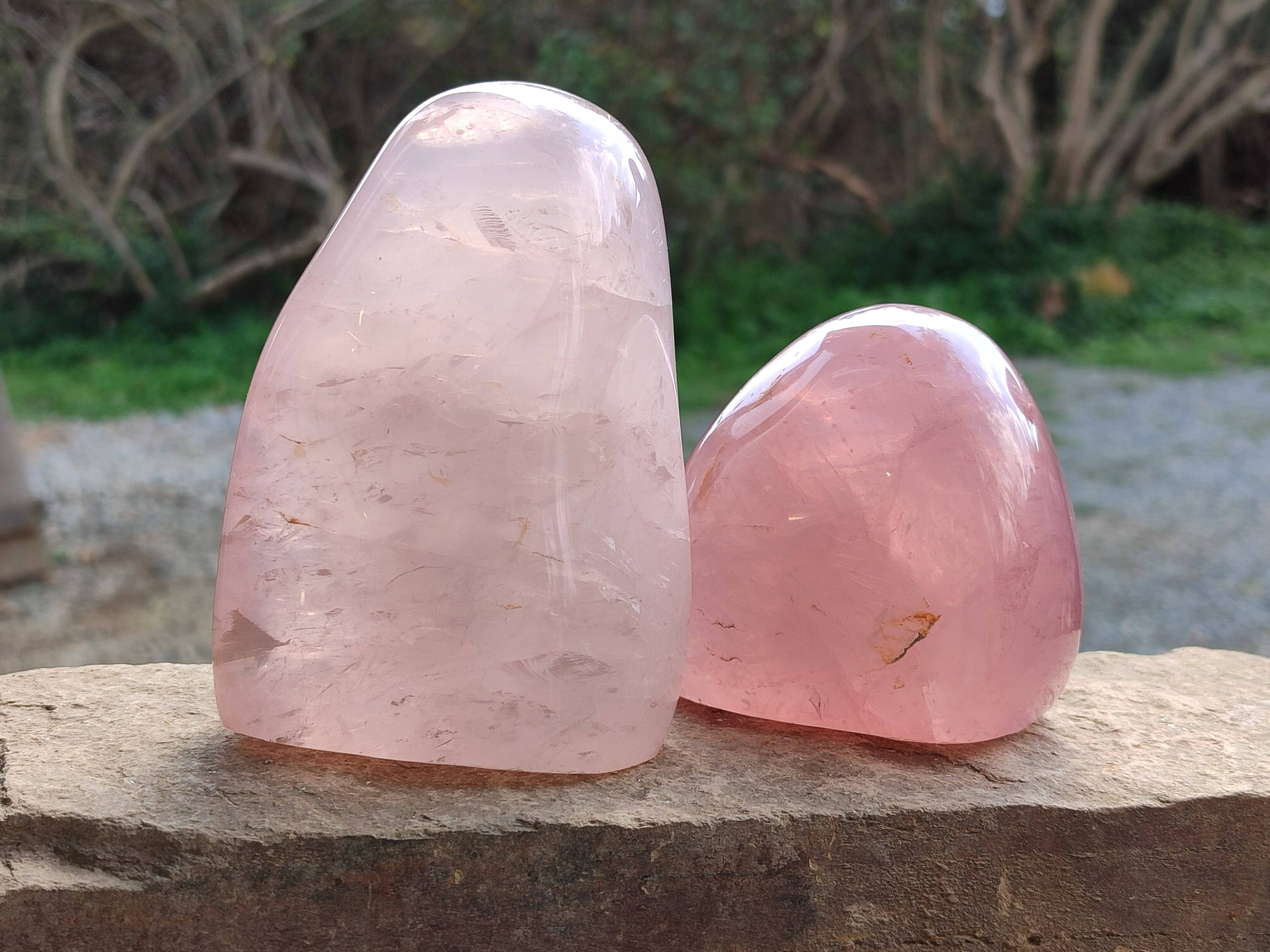 Polished Star Rose Quartz Standing Free Forms x 2 From Madagascar - Toprock Gemstones and Minerals 