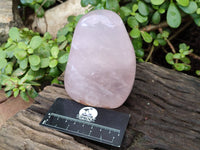 Polished Star Rose Quartz Standing Free Forms x 2 From Madagascar - Toprock Gemstones and Minerals 