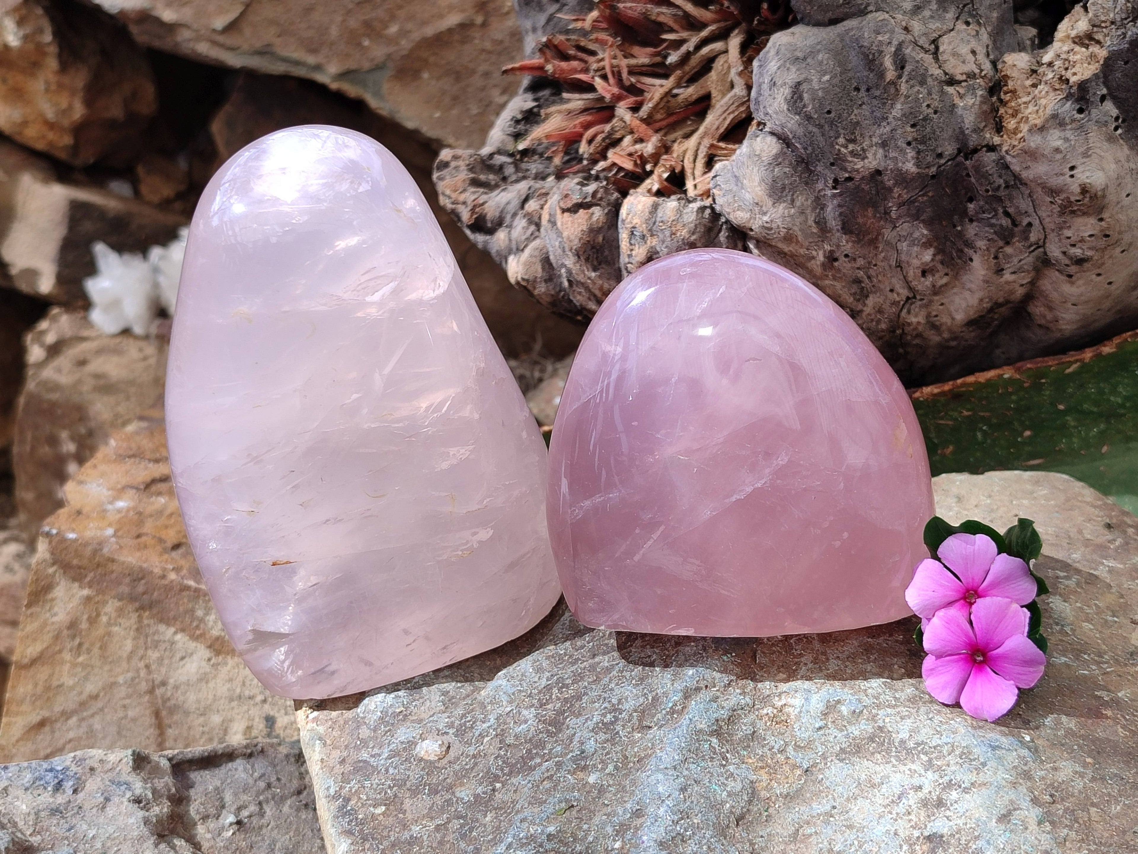 Polished Star Rose Quartz Standing Free Forms x 2 From Madagascar - Toprock Gemstones and Minerals 