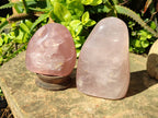Polished Star Rose Quartz Standing Free Forms x 2 From Madagascar - Toprock Gemstones and Minerals 