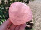 Polished Star Rose Quartz Standing Free Forms x 2 From Madagascar - Toprock Gemstones and Minerals 