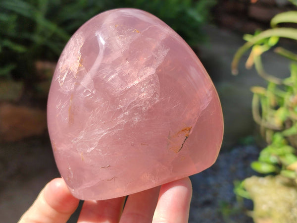 Polished Star Rose Quartz Standing Free Forms x 2 From Madagascar