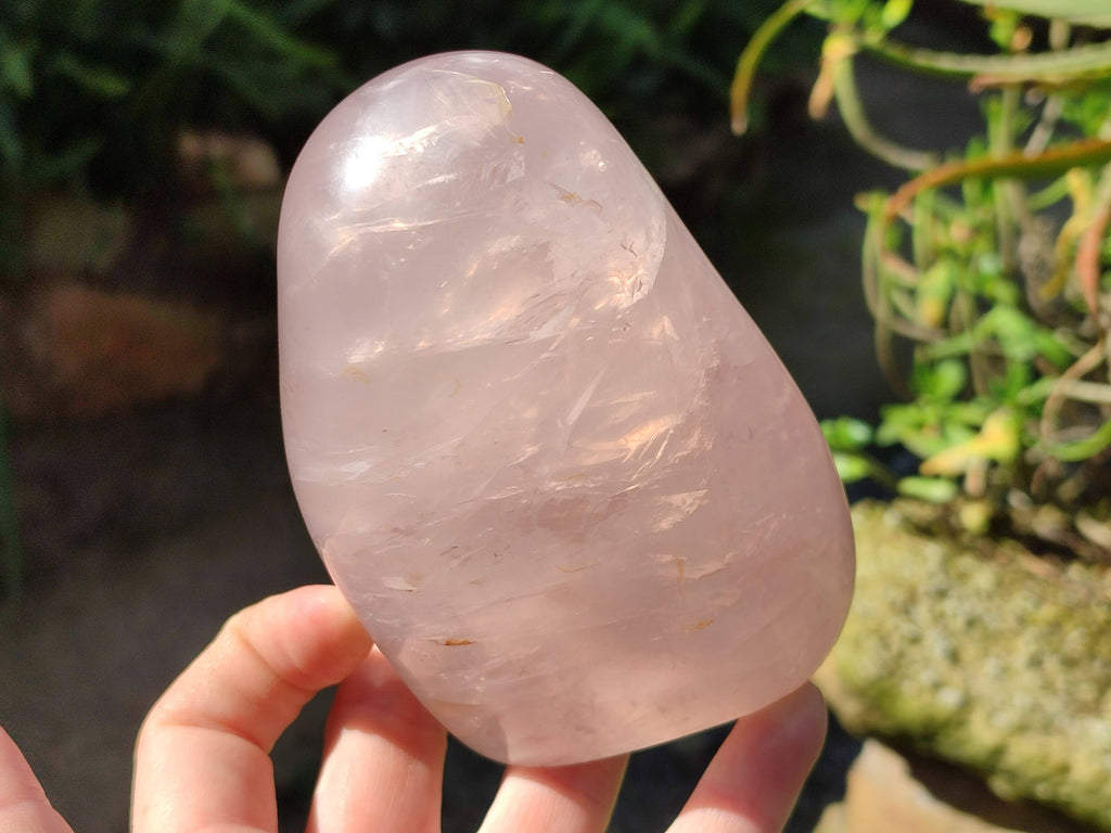 Polished Star Rose Quartz Standing Free Forms x 2 From Madagascar - Toprock Gemstones and Minerals 