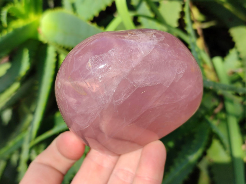 Polished Star Rose Quartz Standing Free Forms x 2 From Madagascar - Toprock Gemstones and Minerals 