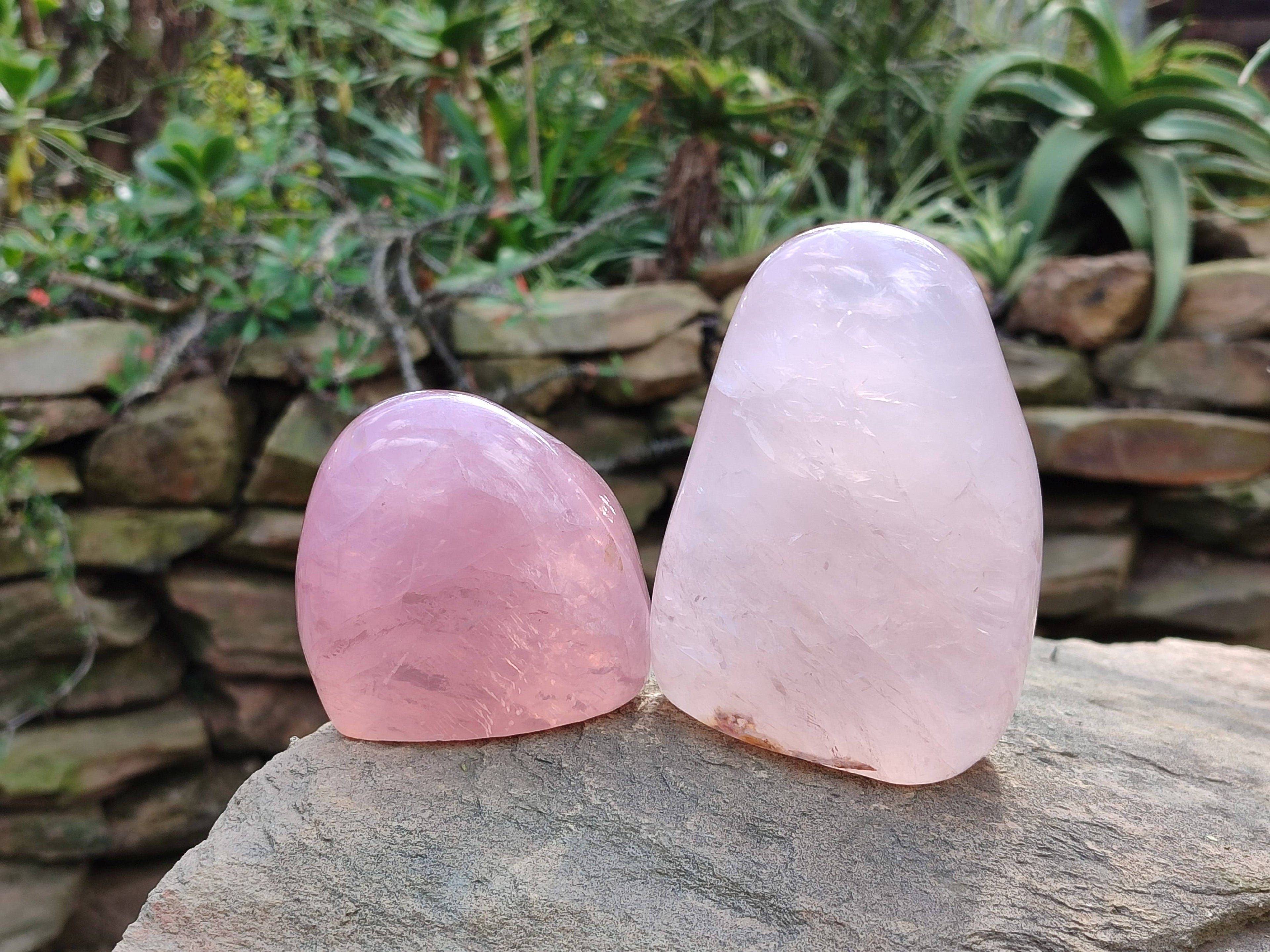 Polished Star Rose Quartz Standing Free Forms x 2 From Madagascar - Toprock Gemstones and Minerals 
