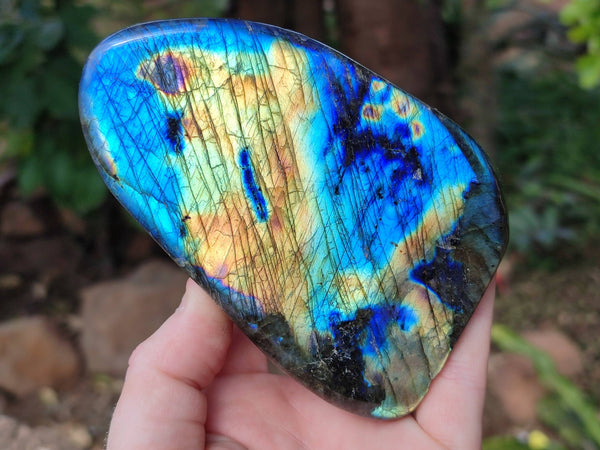 Polished Labradorite Standing Free Forms x 4 From Tulear, Madagascar