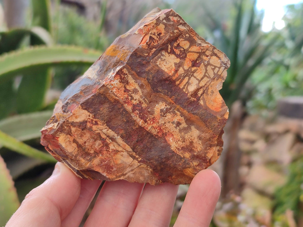 Natural Selected Nguni Jasper Cobbed Specimens x 12 From Prieska, South Africa - Toprock Gemstones and Minerals 