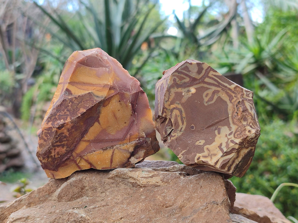 Natural Selected Nguni Jasper Cobbed Specimens x 12 From Prieska, South Africa - Toprock Gemstones and Minerals 