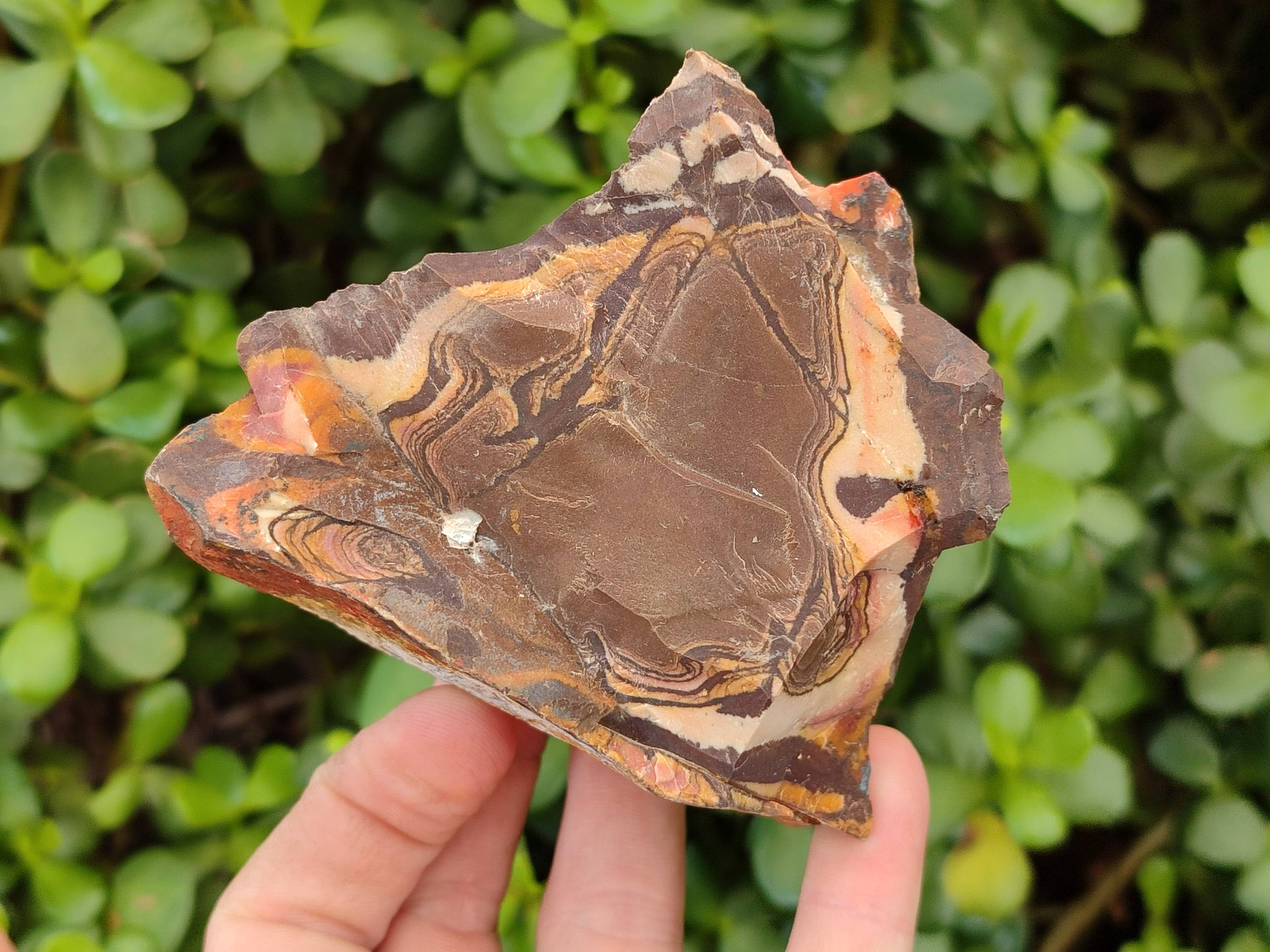 Natural Selected Nguni Jasper Cobbed Specimens x 12 From Prieska, South Africa - Toprock Gemstones and Minerals 