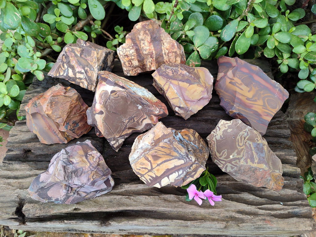 Natural Selected Nguni Jasper Cobbed Specimens x 12 From Prieska, South Africa - Toprock Gemstones and Minerals 