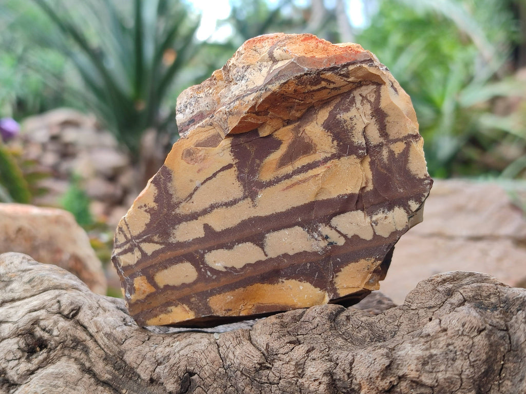 Natural Selected Nguni Jasper Cobbed Specimens x 12 From Prieska, South Africa - Toprock Gemstones and Minerals 