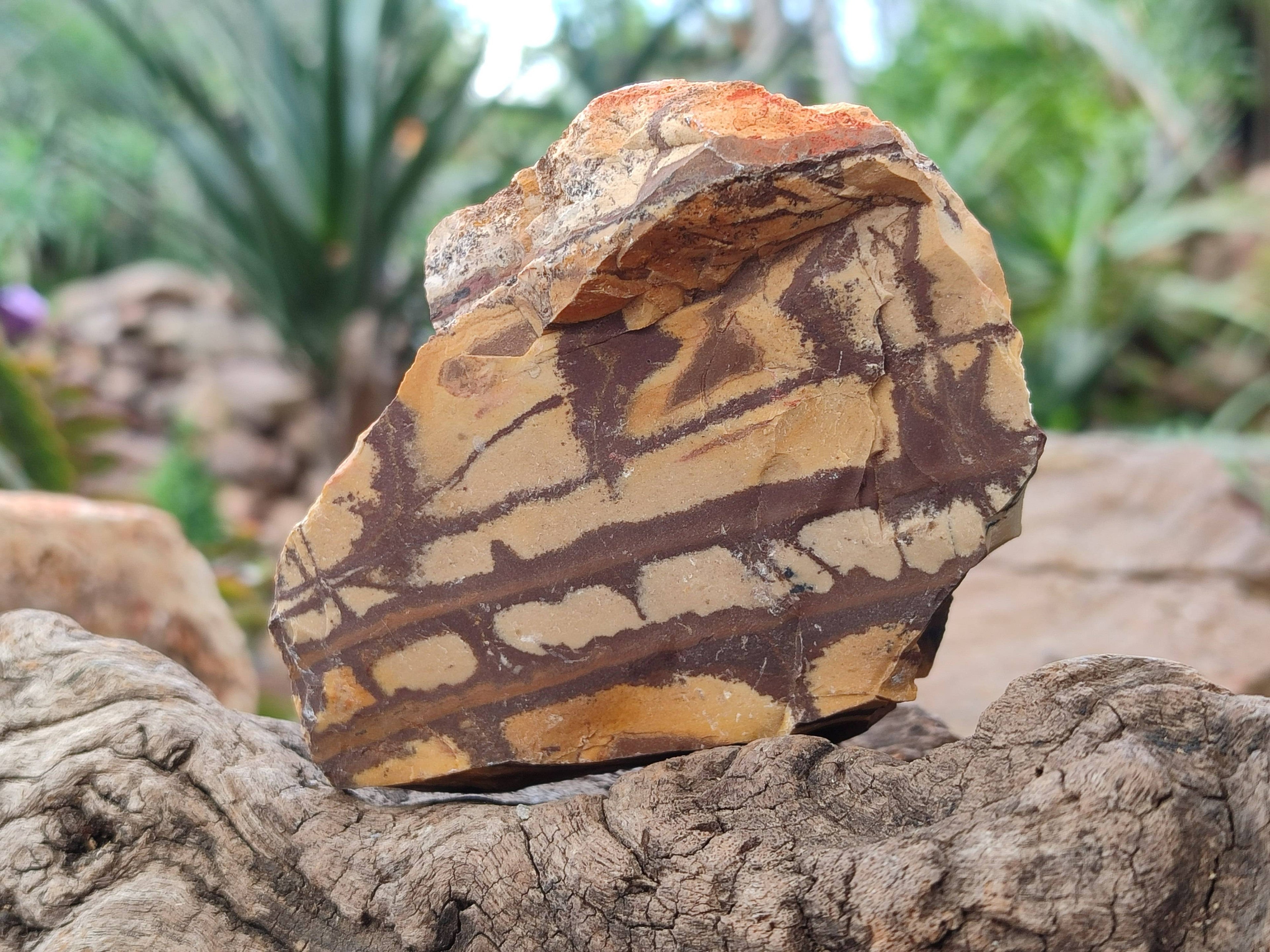 Natural Selected Nguni Jasper Cobbed Specimens x 12 From Prieska, South Africa - Toprock Gemstones and Minerals 