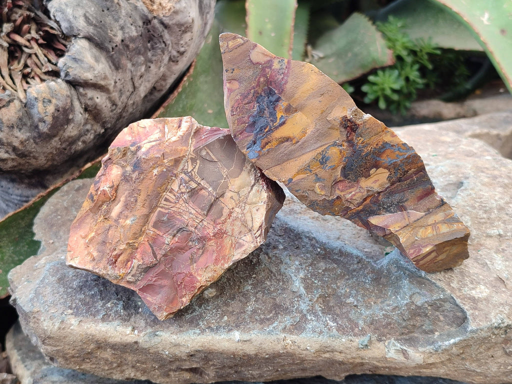 Natural Selected Nguni Jasper Cobbed Specimens x 12 From Prieska, South Africa - Toprock Gemstones and Minerals 