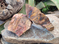 Natural Selected Nguni Jasper Cobbed Specimens x 12 From Prieska, South Africa