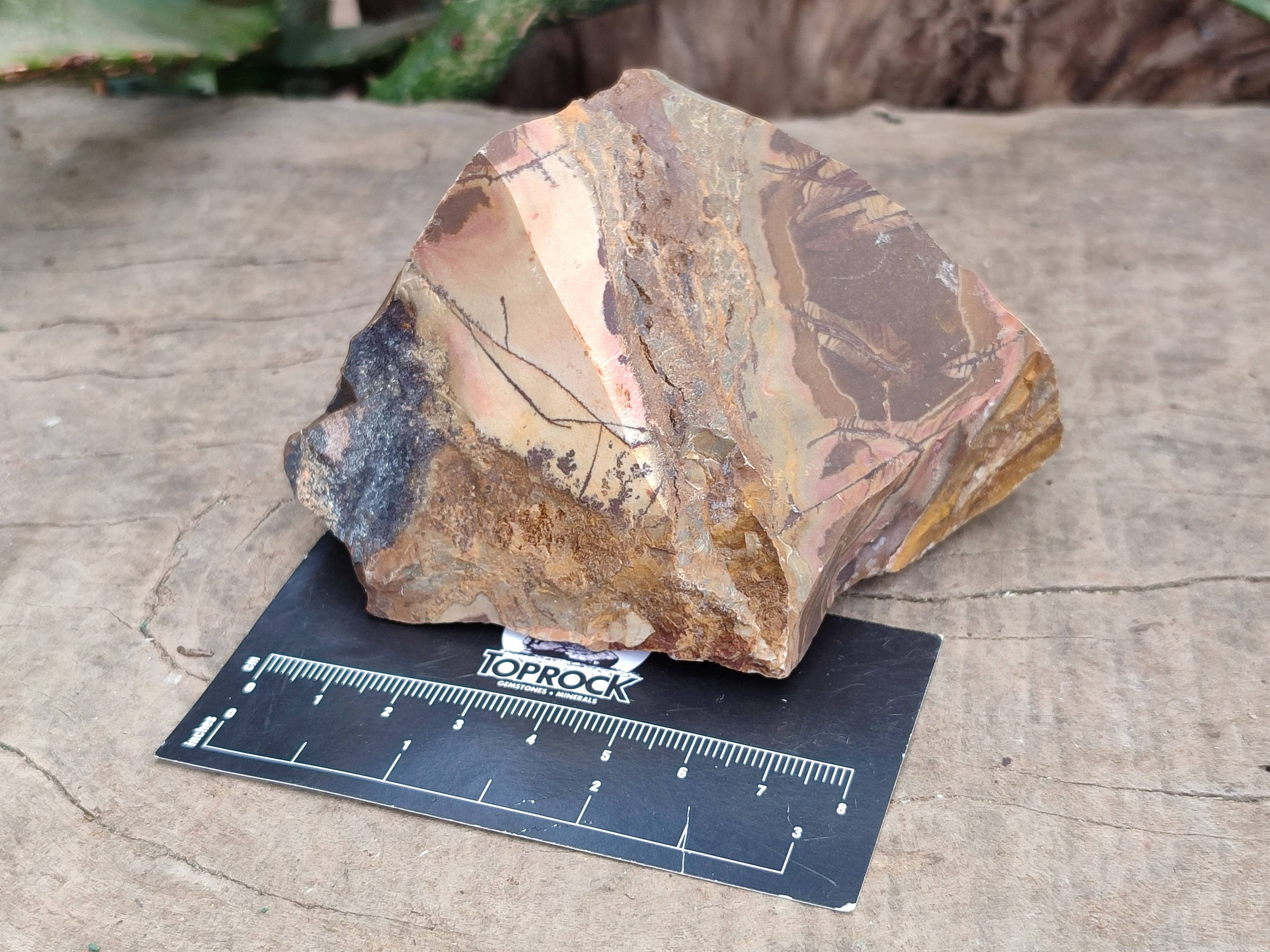 Natural Selected Nguni Jasper Cobbed Specimens x 12 From Prieska, South Africa - Toprock Gemstones and Minerals 