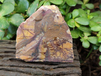 Natural Selected Nguni Jasper Cobbed Specimens x 12 From Prieska, South Africa