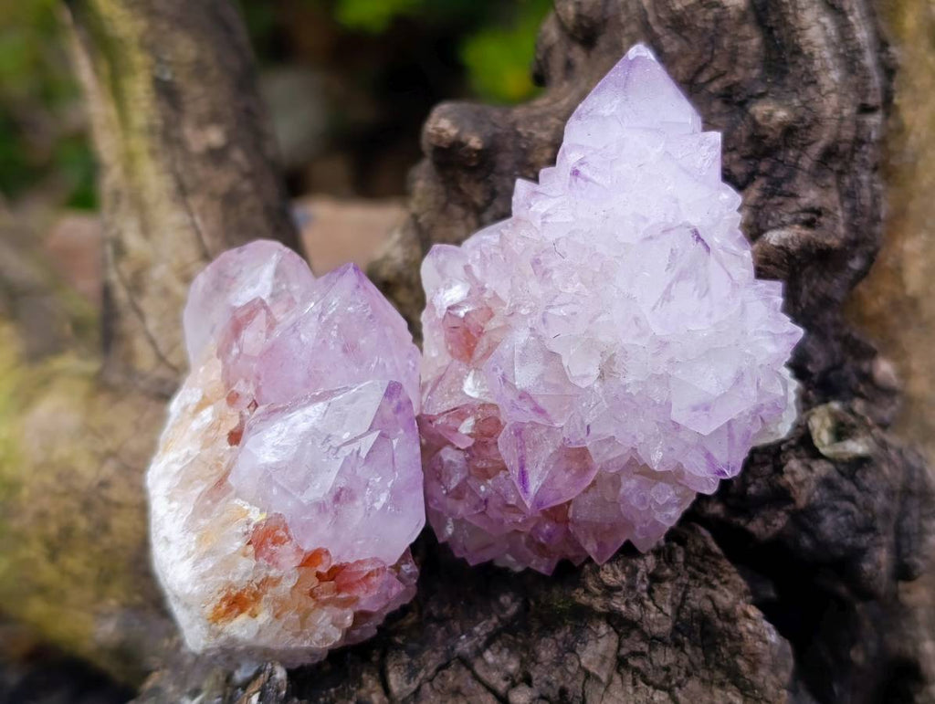 Natural Amethyst Spirit Quartz Clusters x 12 From Boekenhouthoek, South Africa - Toprock Gemstones and Minerals 