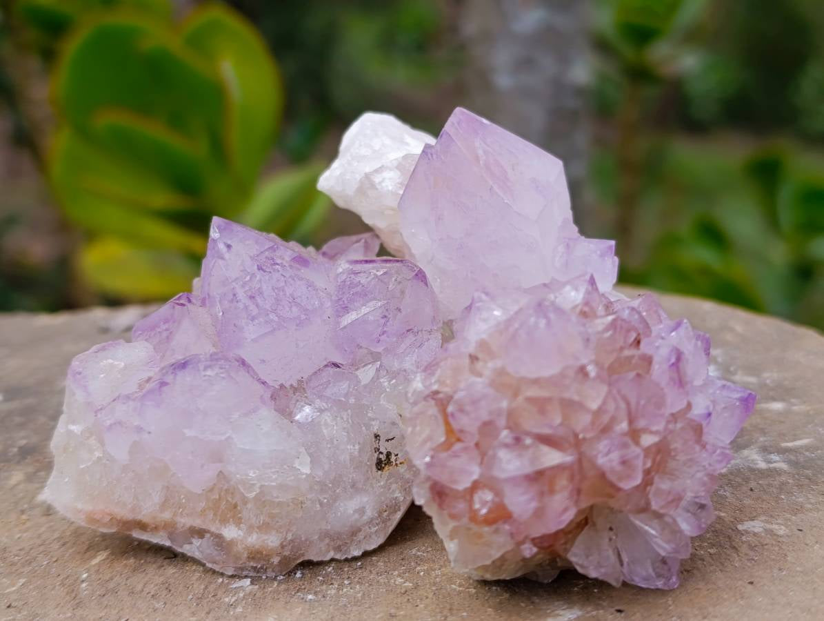 Natural Amethyst Spirit Quartz Clusters x 12 From Boekenhouthoek, South Africa - Toprock Gemstones and Minerals 