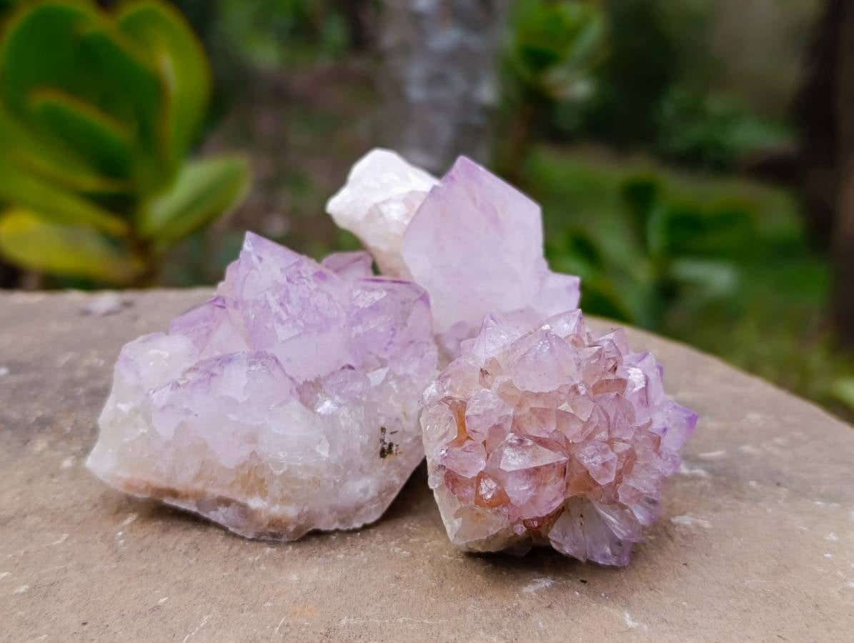 Natural Amethyst Spirit Quartz Clusters x 12 From Boekenhouthoek, South Africa - Toprock Gemstones and Minerals 