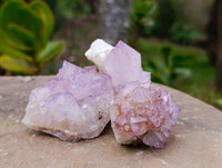 Natural Amethyst Spirit Quartz Clusters x 12 From Boekenhouthoek, South Africa