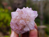 Natural Amethyst Spirit Quartz Clusters x 12 From Boekenhouthoek, South Africa
