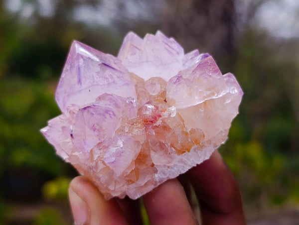 Natural Amethyst Spirit Quartz Clusters x 12 From Boekenhouthoek, South Africa