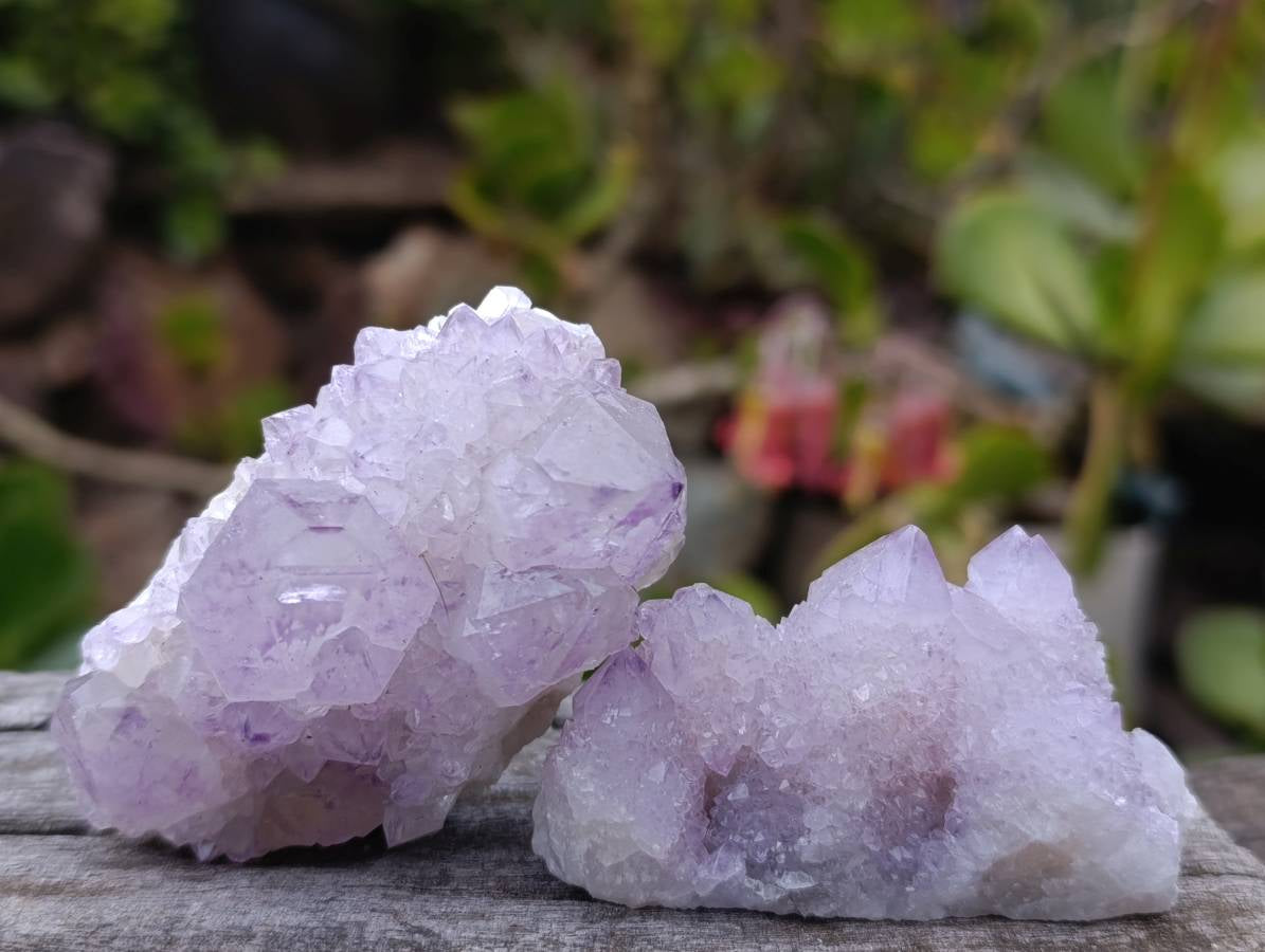 Natural Amethyst Spirit Quartz Clusters x 12 From Boekenhouthoek, South Africa - Toprock Gemstones and Minerals 