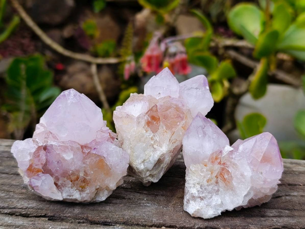 Natural Amethyst Spirit Quartz Clusters x 12 From Boekenhouthoek, South Africa - Toprock Gemstones and Minerals 