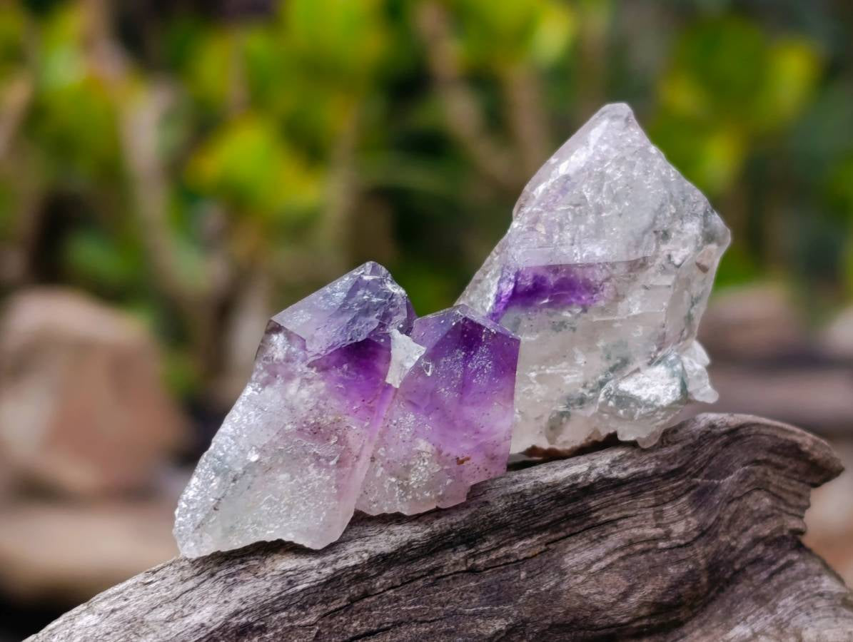 Natural Amethyst Quartz Crystals x 35 From Brandberg, Namibia - Toprock Gemstones and Minerals 