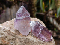 Natural Amethyst Quartz Crystals x 35 From Brandberg, Namibia