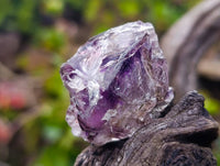 Natural Amethyst Quartz Crystals x 35 From Brandberg, Namibia