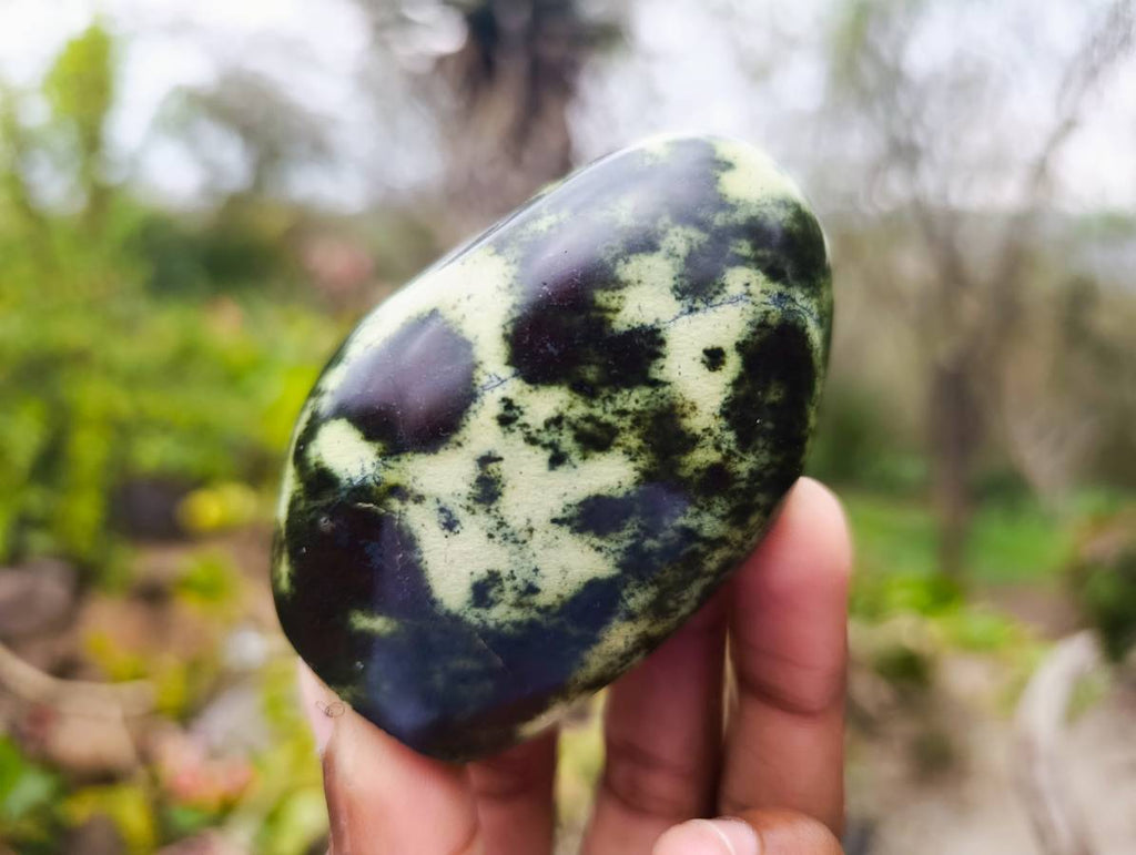 Polished Leopard Stone Standing Free Forms x 6 From Nyanga, Zimbabwe - Toprock Gemstones and Minerals 