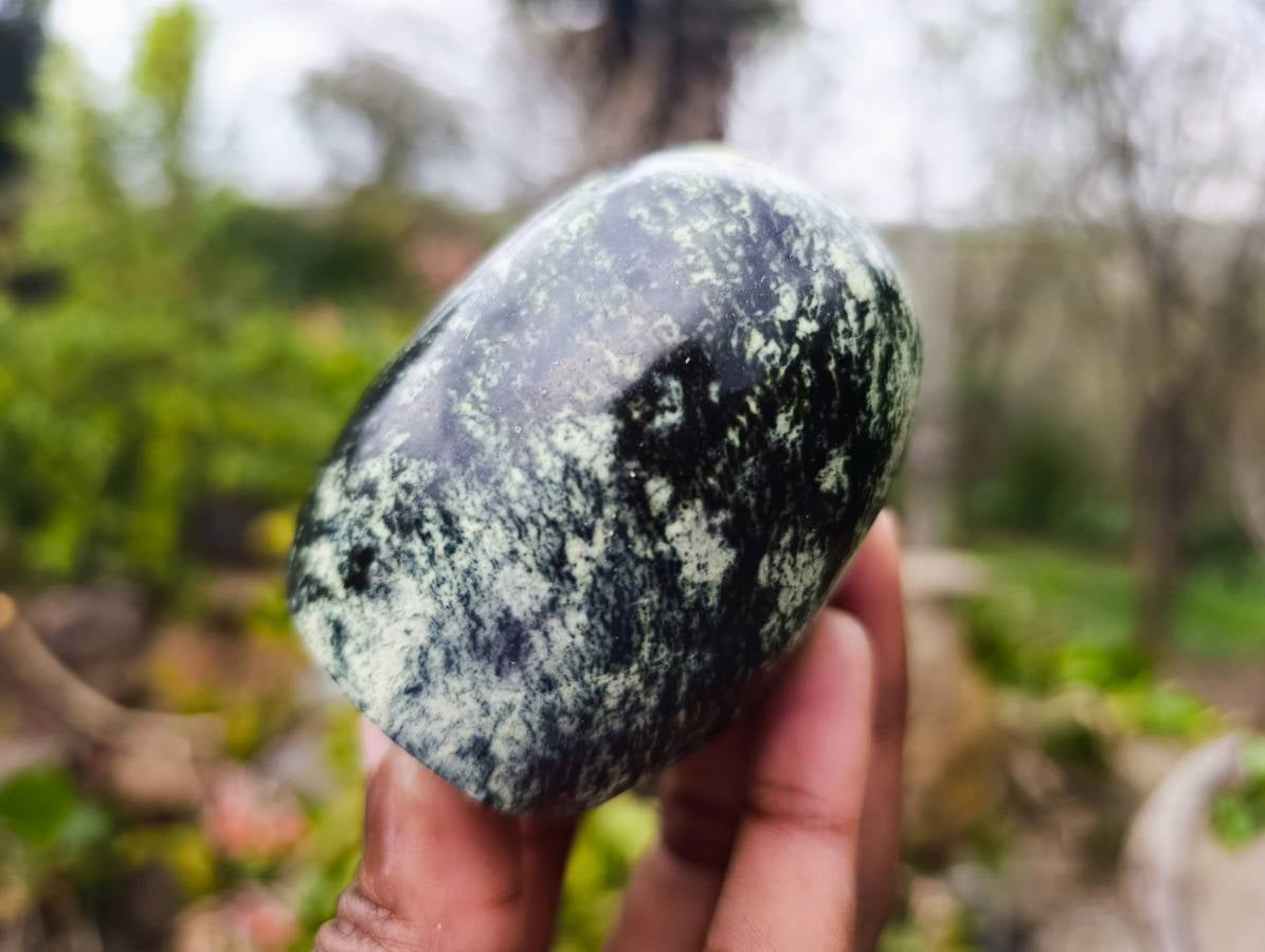 Polished Leopard Stone Standing Free Forms x 6 From Nyanga, Zimbabwe - Toprock Gemstones and Minerals 