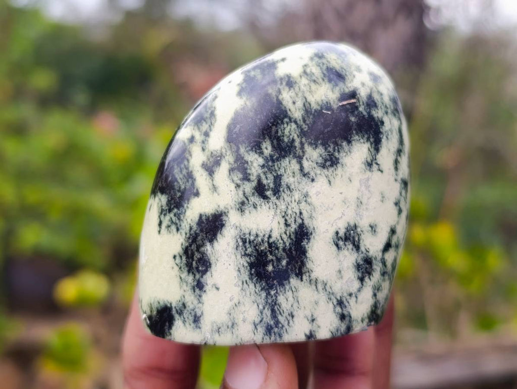 Polished Leopard Stone Standing Free Forms x 6 From Nyanga, Zimbabwe - Toprock Gemstones and Minerals 